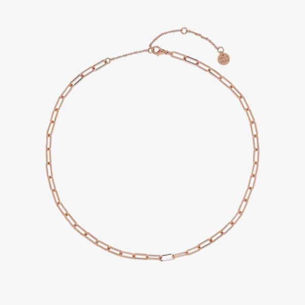 Simple Paperclip Chain Choker - Image 2