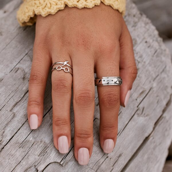 Harry Potter Fidget Ring - Image 4