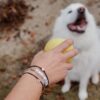 Paw Bead Charm Bracelet - Image 8