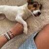 Paw Bead Charm Bracelet - Image 9