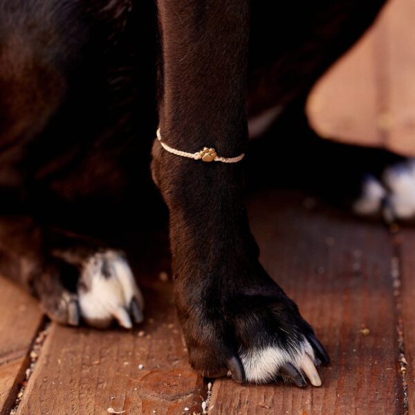Paw Bead Charm Bracelet - Image 11