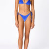 VINCA - CEFA - Image 4