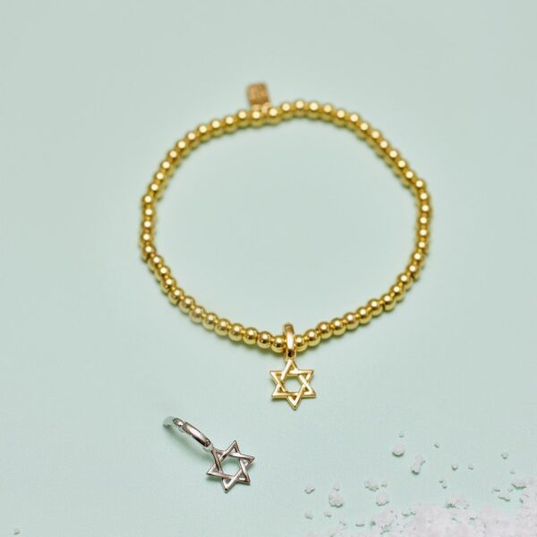 Harper Star of David Charm - Image 16