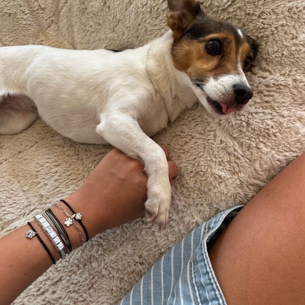 Harper Paw Charm - Image 8