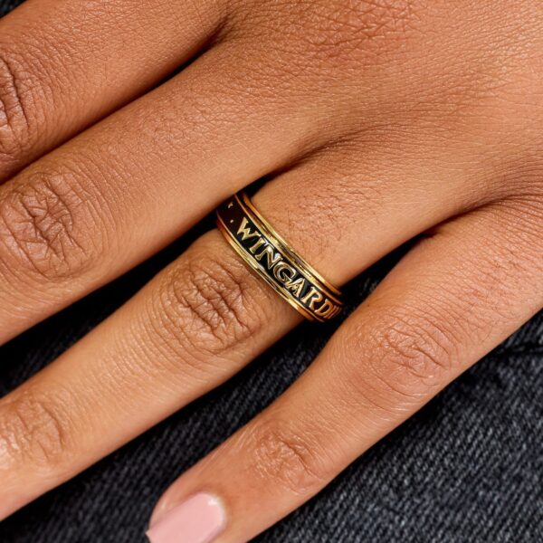 Wingardium Leviosa Fidget Ring - Image 2