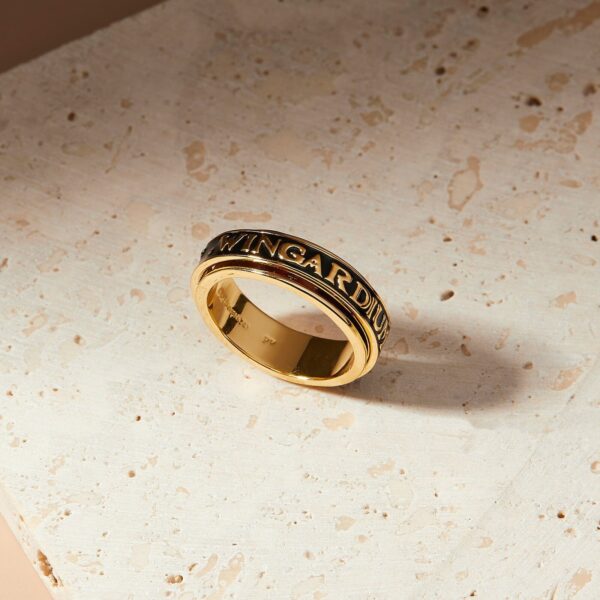 Wingardium Leviosa Fidget Ring - Image 7
