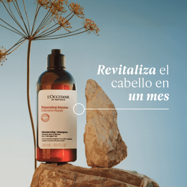 Champú Reparador Intensivo 300ml - Image 2