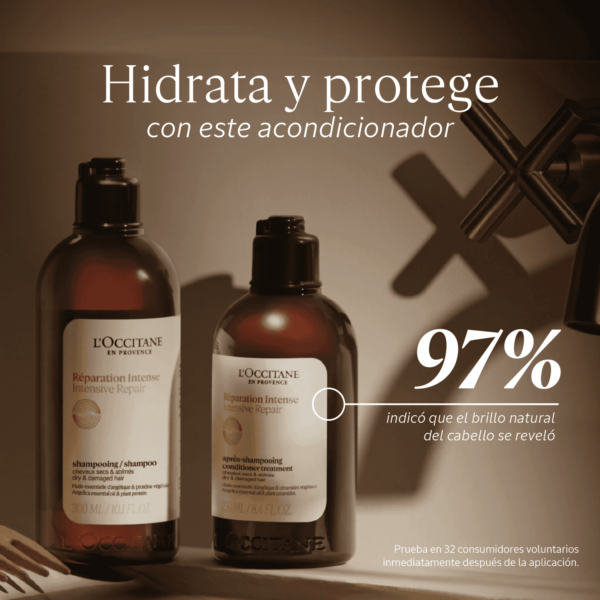 Tratamiento Acondicionador Reparador Intensivo 250ml - Image 2