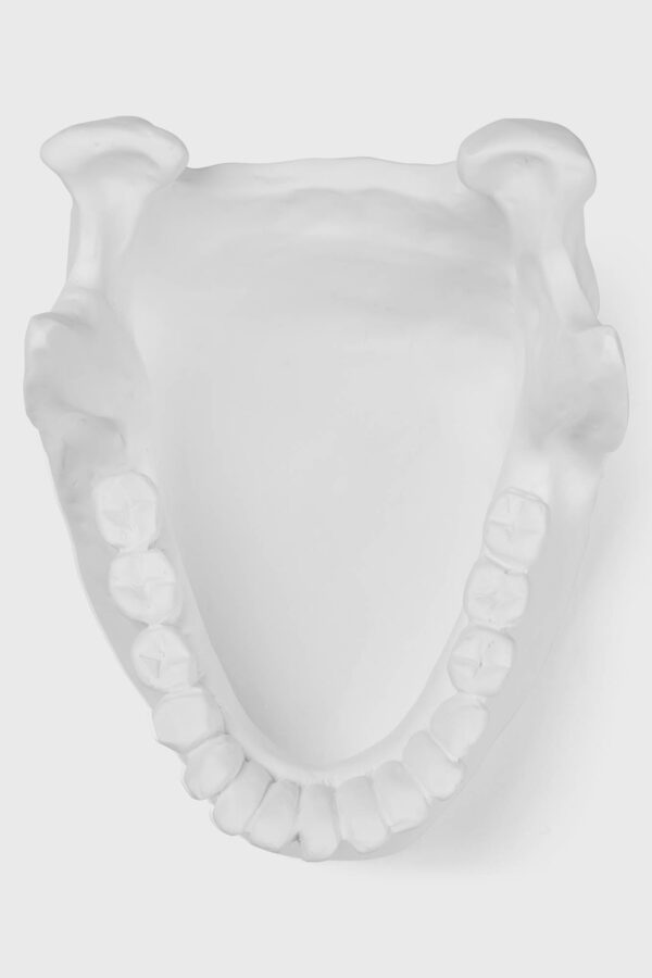 Ossuary Catch All Bowl - Image 5