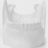 Ossuary Catch All Bowl - Image 4