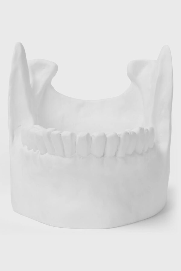 Ossuary Catch All Bowl - Image 4