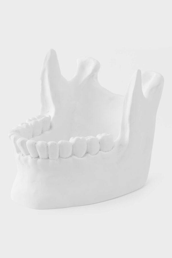 Ossuary Catch All Bowl - Image 3