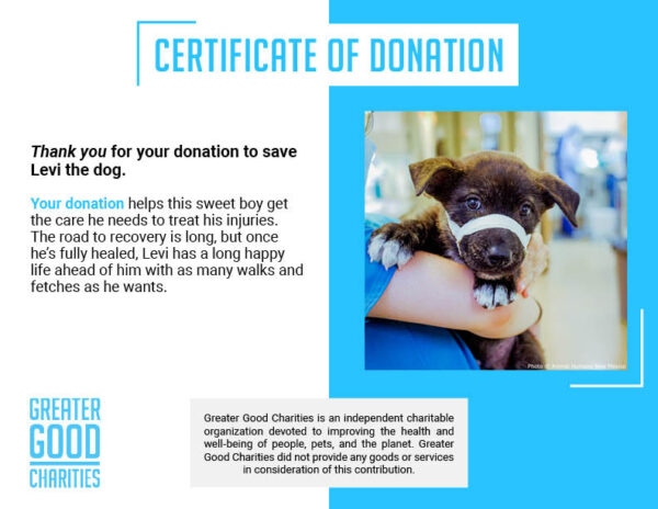 Funded: Help Fix Levi’s Broken Jaw - Image 5