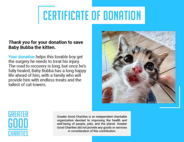Help Baby Bubba Heal from Severe Lip Injury - Image 4